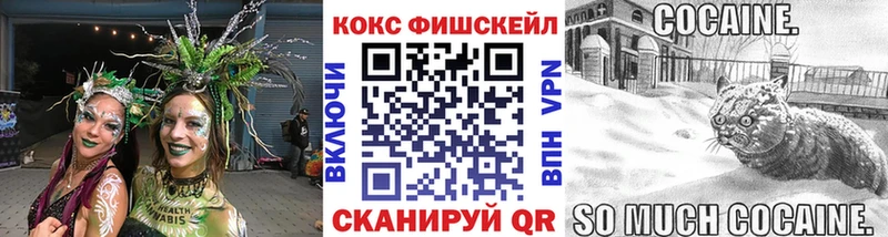 Купить где  Павловск  КОКАИН Fish Scale 