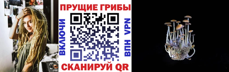 Псилоцибиновые грибы GOLDEN TEACHER  Купить  Павловск 